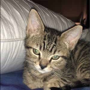 Meet your Posher, Caitlyn